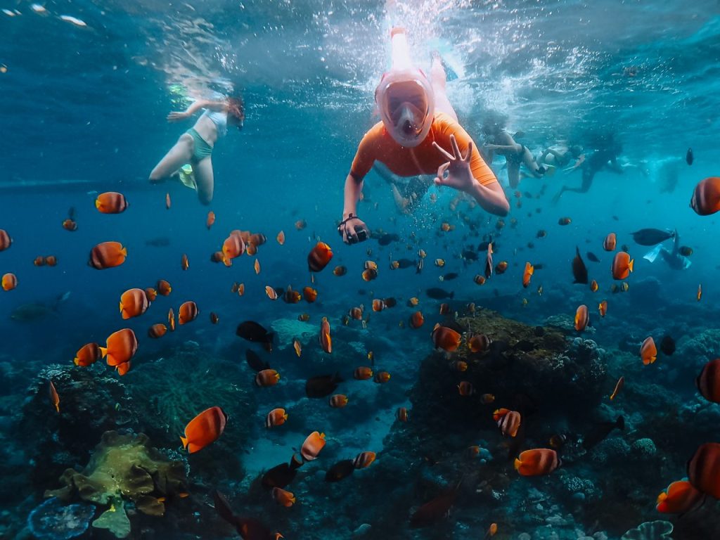 snorkelen nusa lembongan