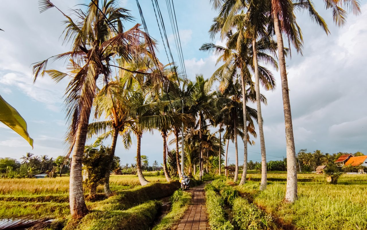 Favoriete bestemmingen Bali - Ubud