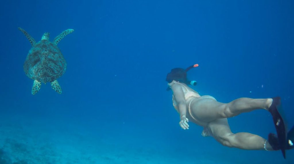 Snorkelen met schildpadden Gili Eilanden