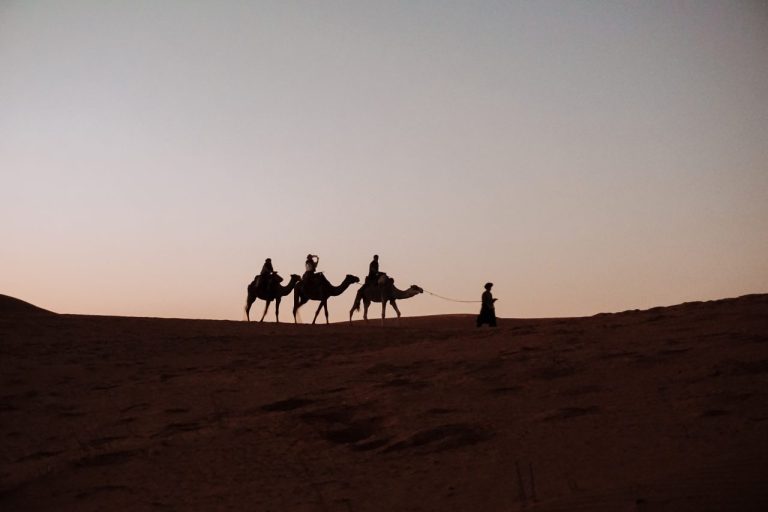 Kameel rijden Marrakech