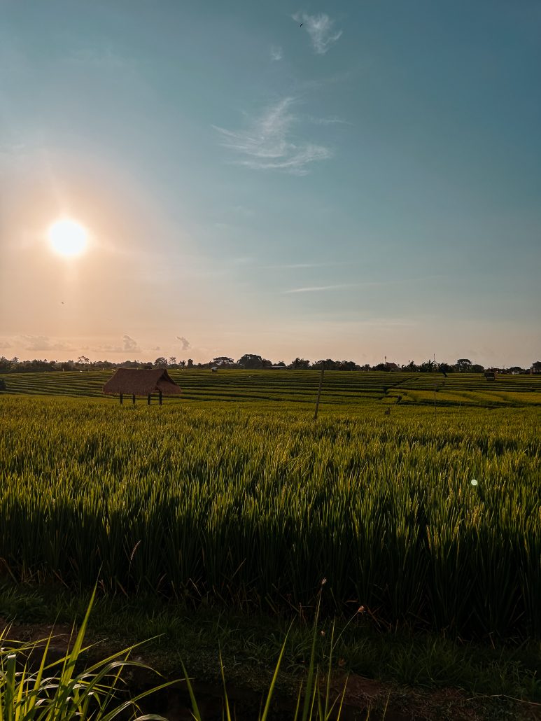 Canggu omgeving