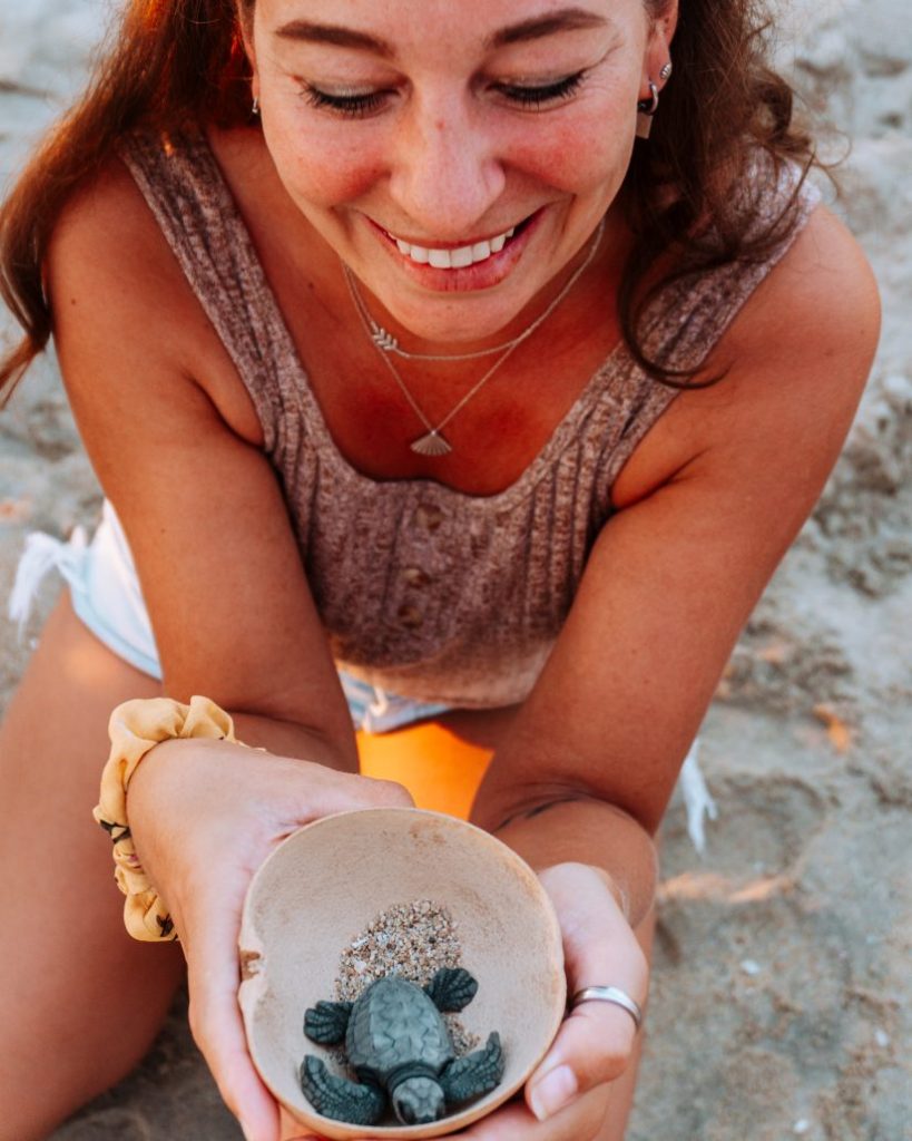 Schildpadden uitzetten
