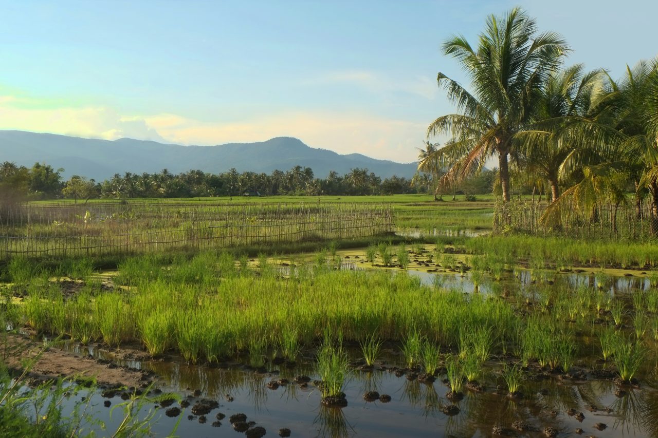 Kampot Cambodja