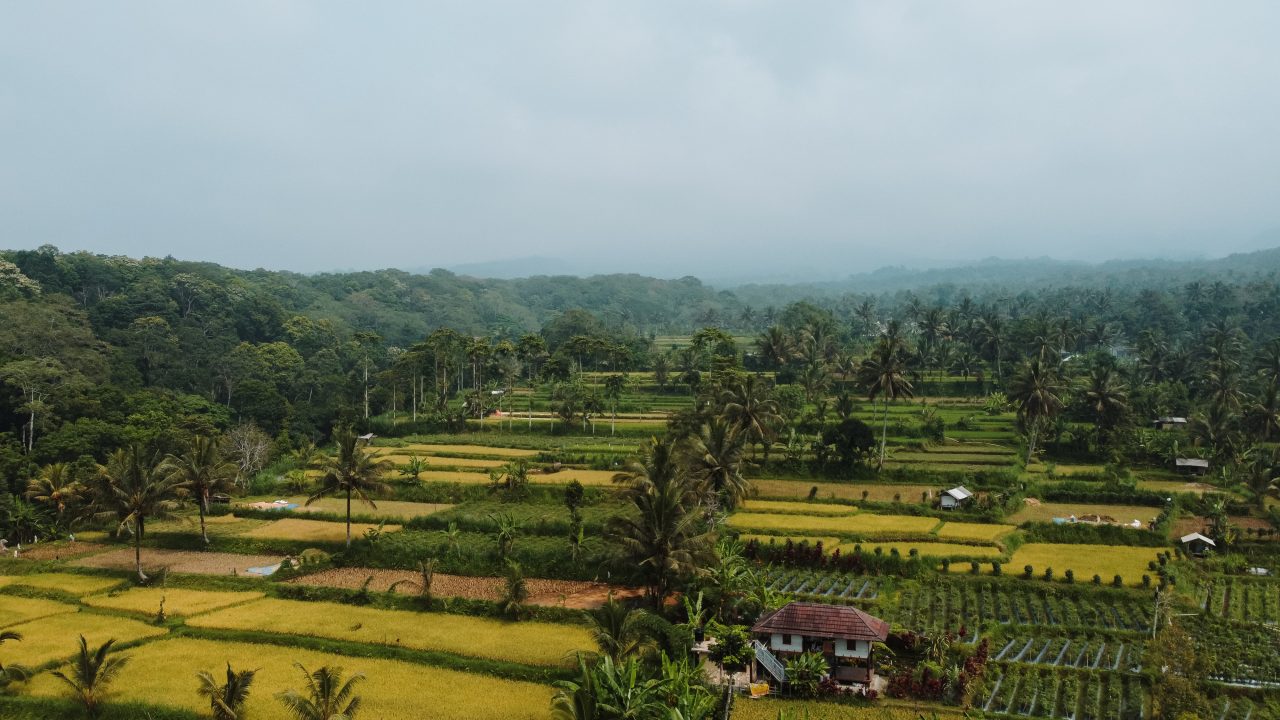Tetebatu lombok