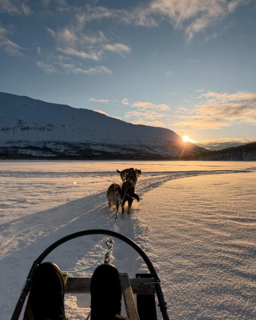 husky safari tromso noorwegen