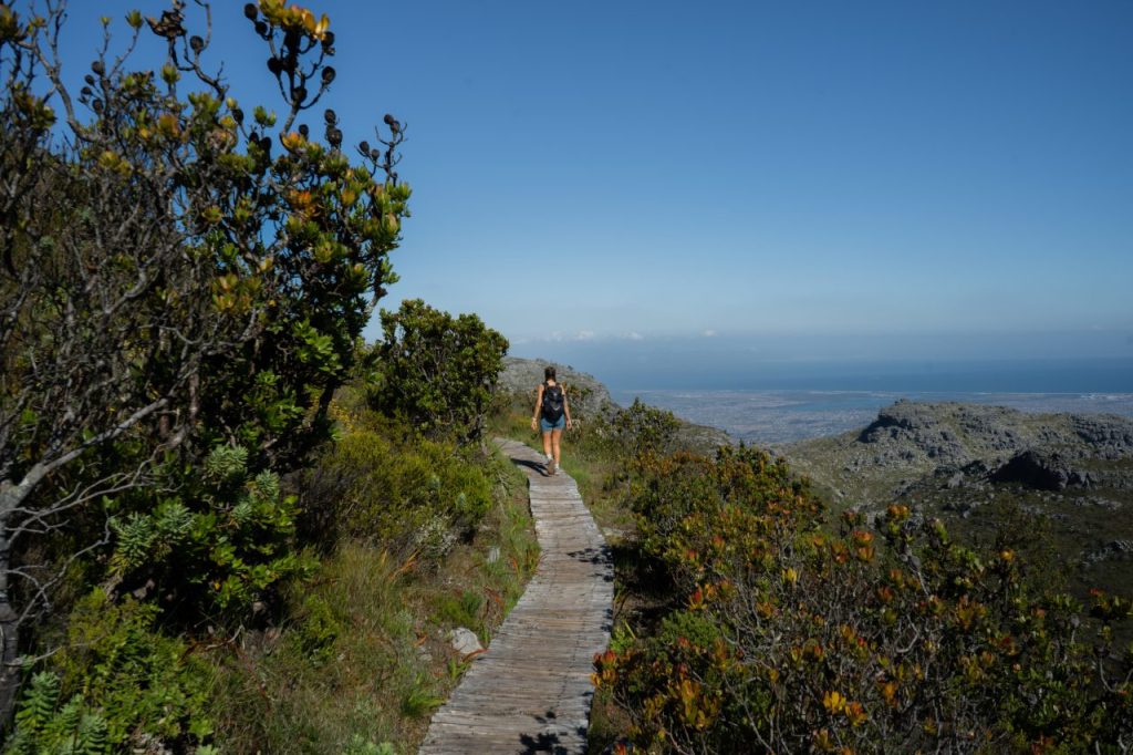 Tafelberg beklimmen, Kaapstad