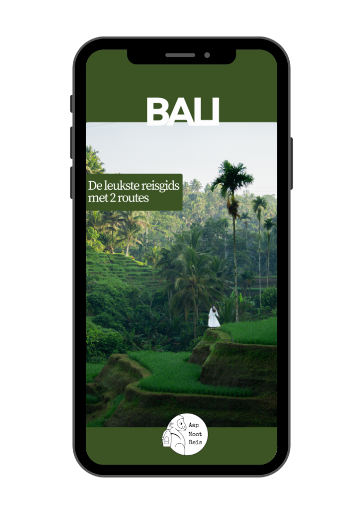 Reisgids Bali Voorbeeld