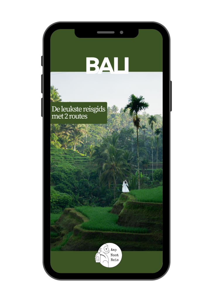 Reisgids Bali Voorbeeld