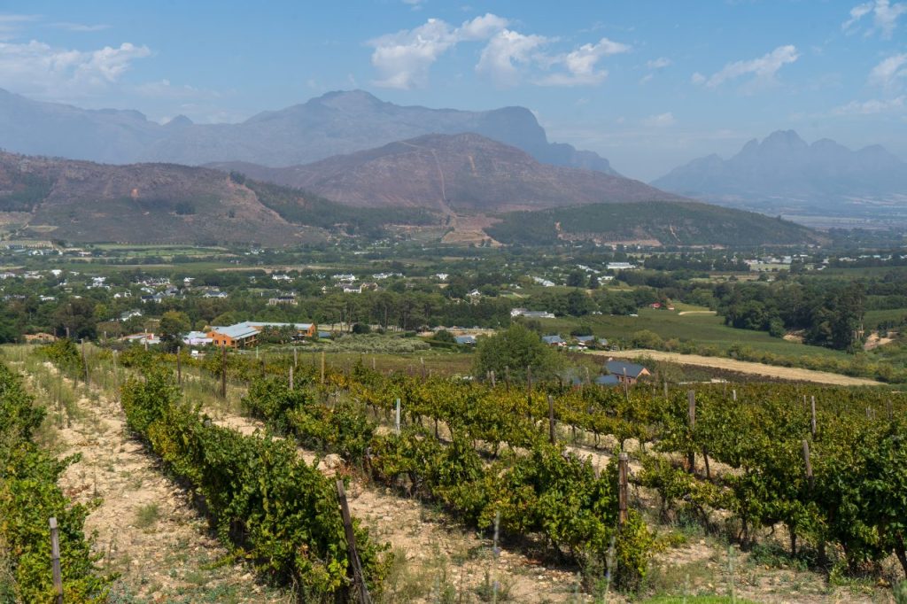 Stellenbosch Zuid Afrika