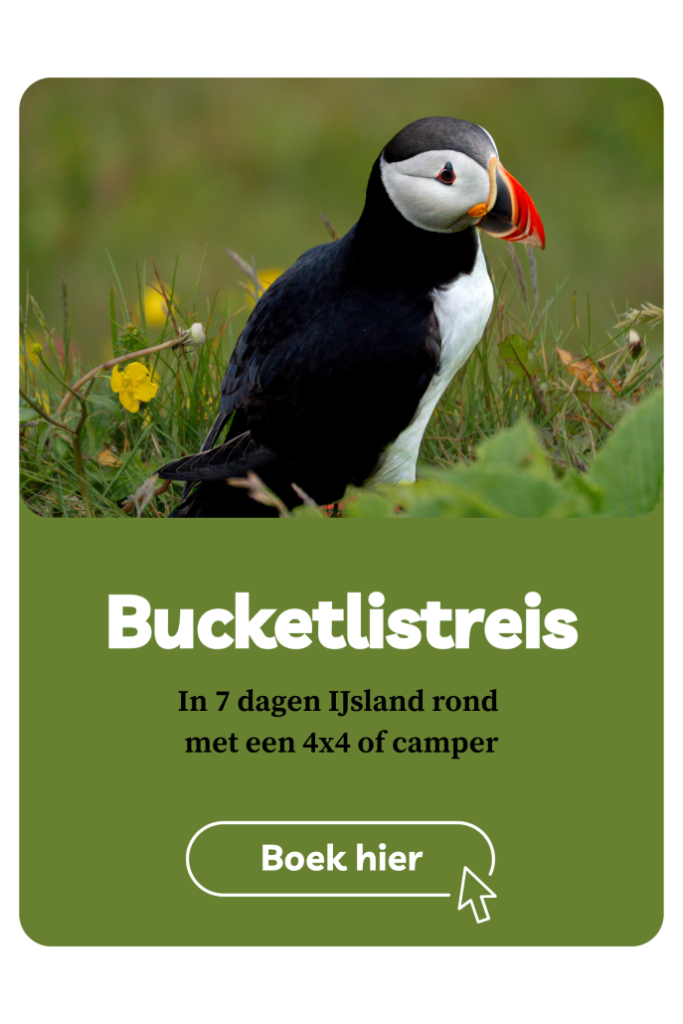 Banner IJsland