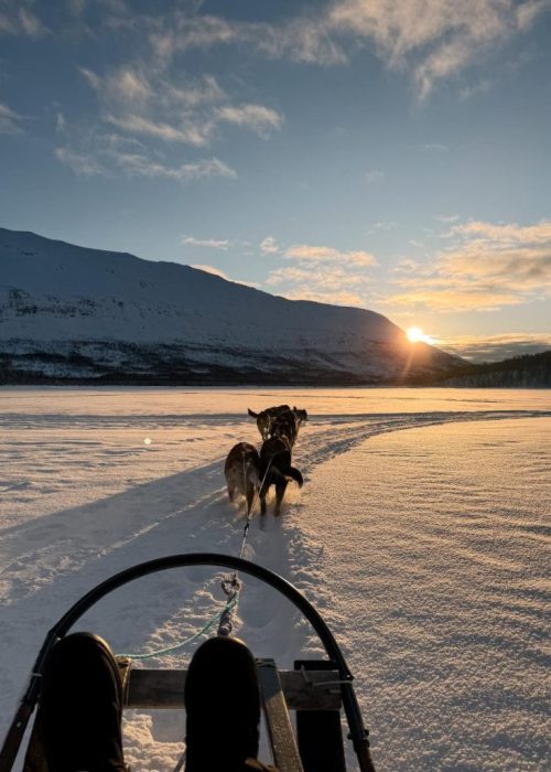 husky safari tromso noorwegen
