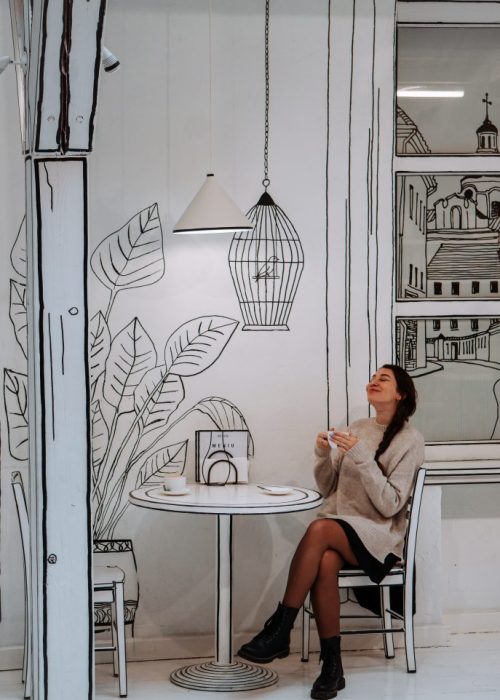 2D café in Vilnius