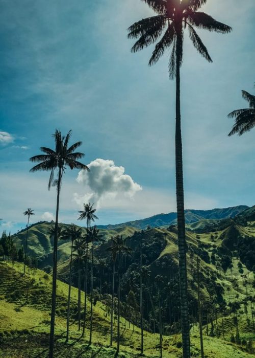 Valle de Samaria Colombia