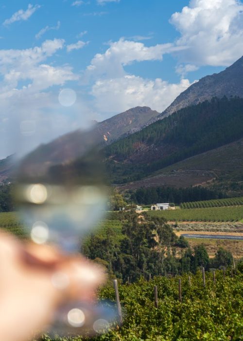 Activiteiten in Stellenbosch