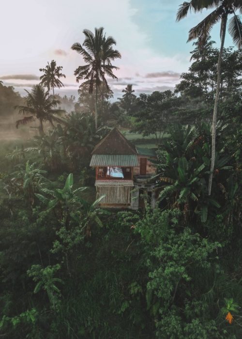Bamboo villa Bali Tegallalang rijstveld