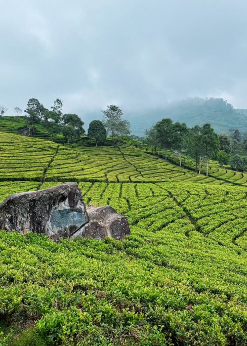 Bandung-1