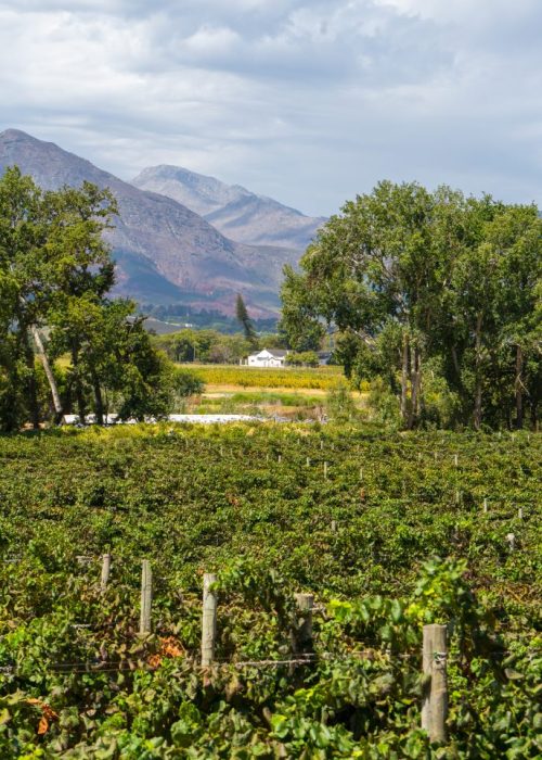 Franschhoek