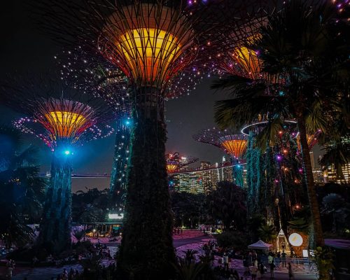 Gardens-by-the-bay-singapore