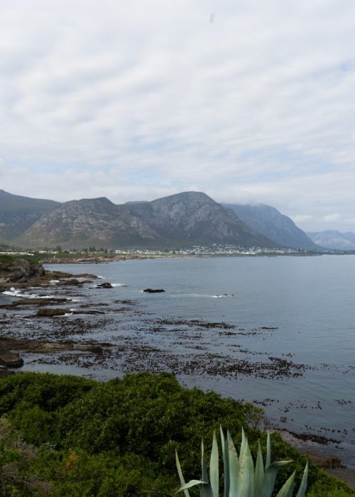 Hermanus, Zuid-Afrika2