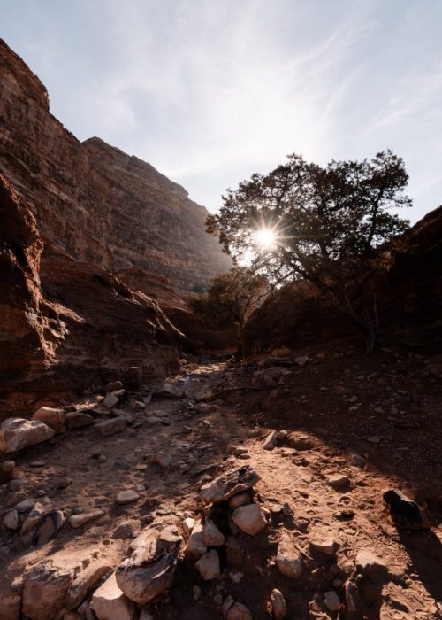 backdoor trail petra jordanie