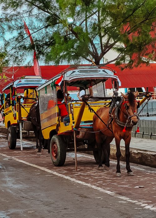 Lokaal vervoer Gili Trawangan