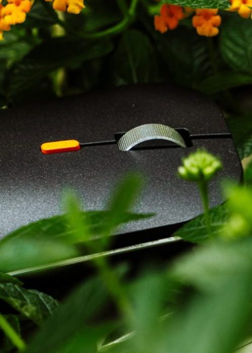 Muis remote werken