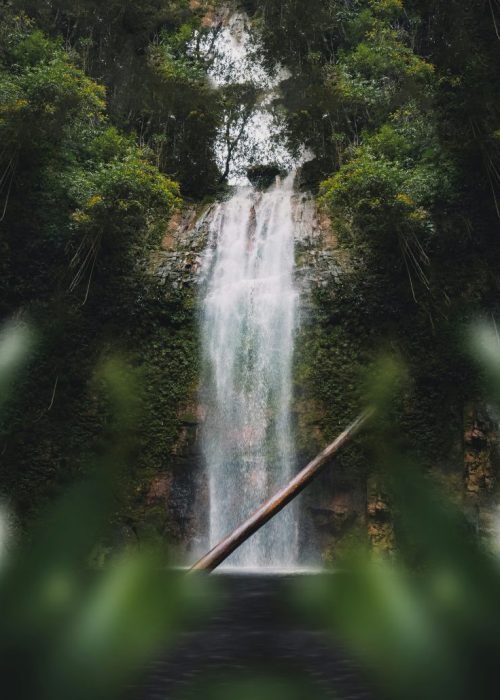 Natuur Kalimantan Indonesië