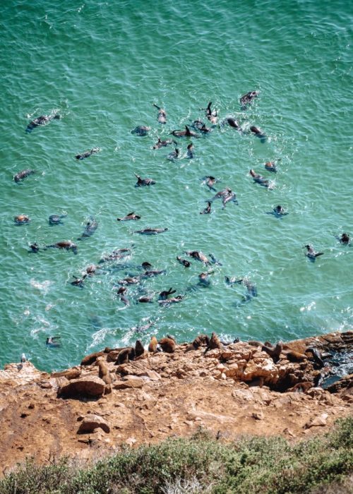 Plettenbergbaai, Garden Route2