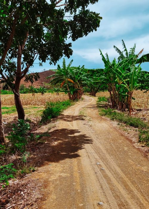 Scooter huren Lombok