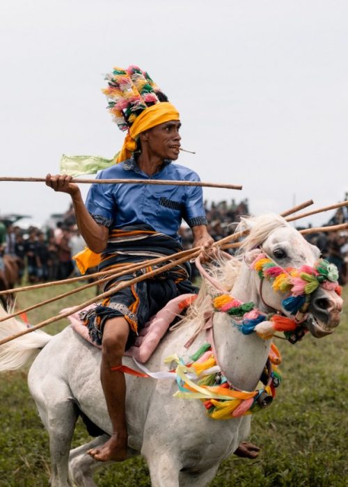 Pasola festival Sumba