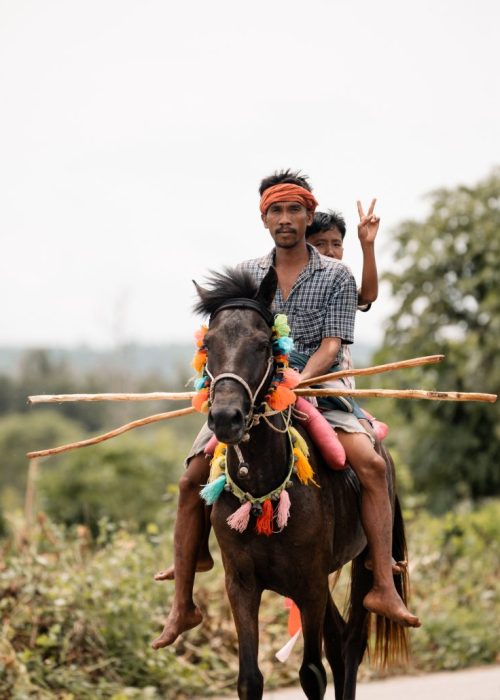 Sumba pasola festival