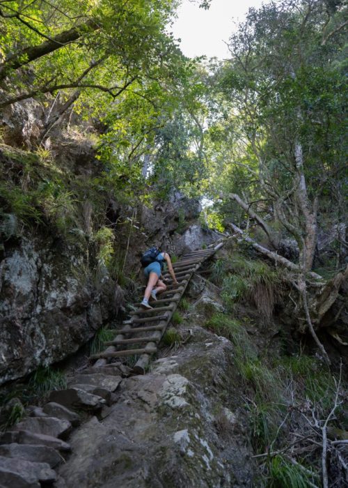 Tafelberg beklimmen Kaapstad