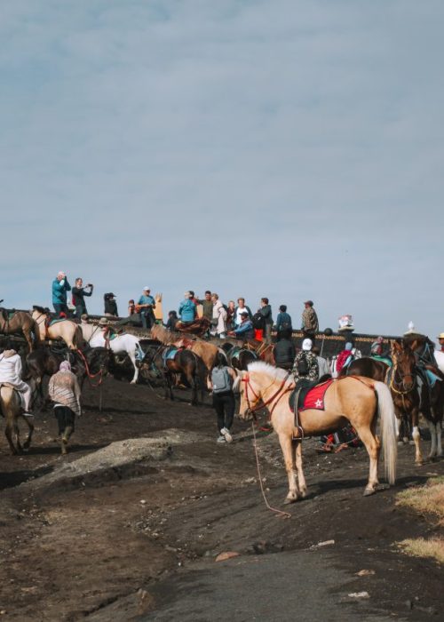 Tour Bromo vulkaan