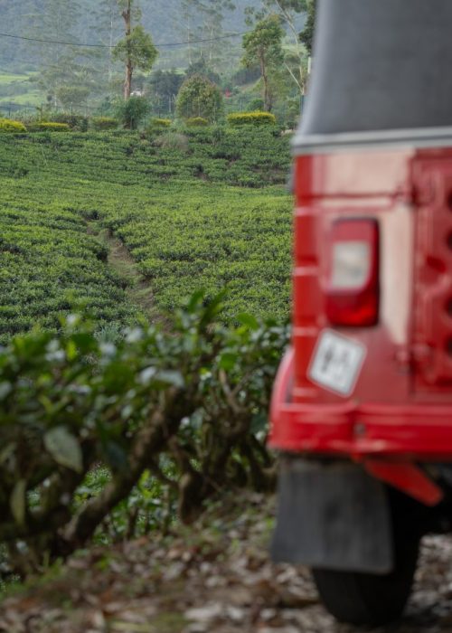 Tuktuk, Sri Lanka