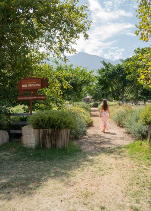 Wat te doen in Stellenbosch