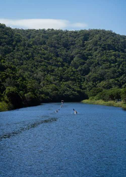 Wildernis, Garden Route1