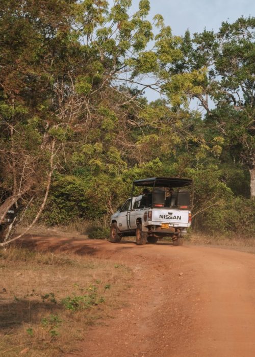 Wilpattu Nationaal Park, Sri Lanka