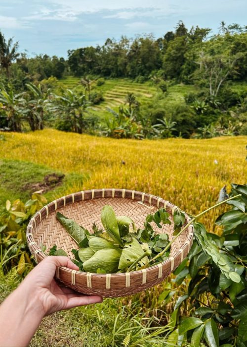 kookworkshop activiteiten bij regen op Bali