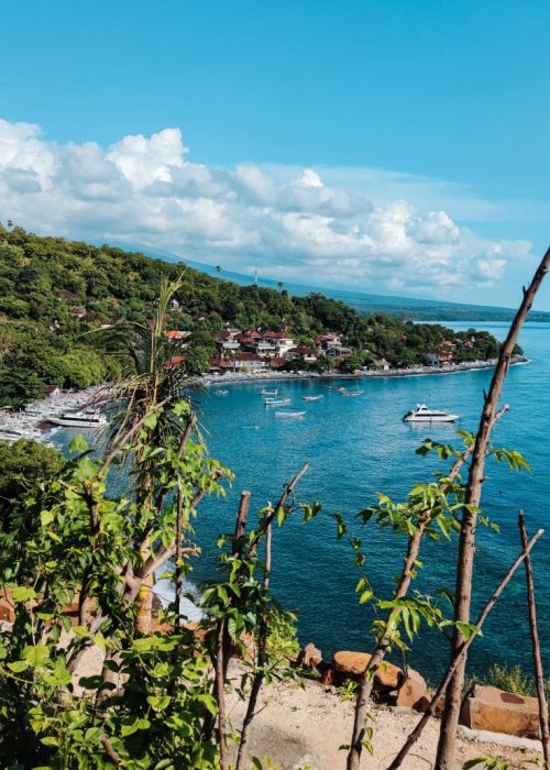 amed bali