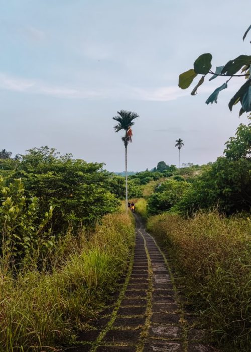 campuhan ridge ubud