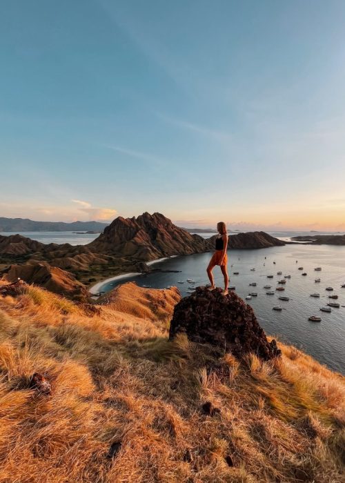 flores boottocht komodo
