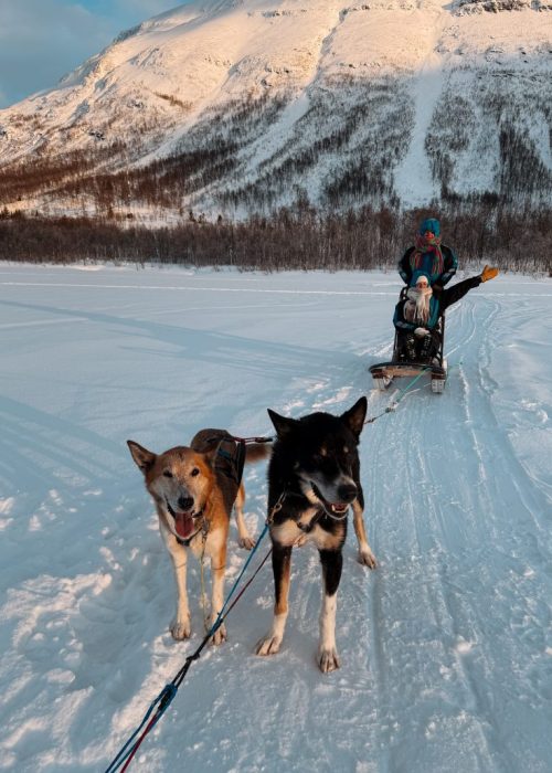 husky safari tromso