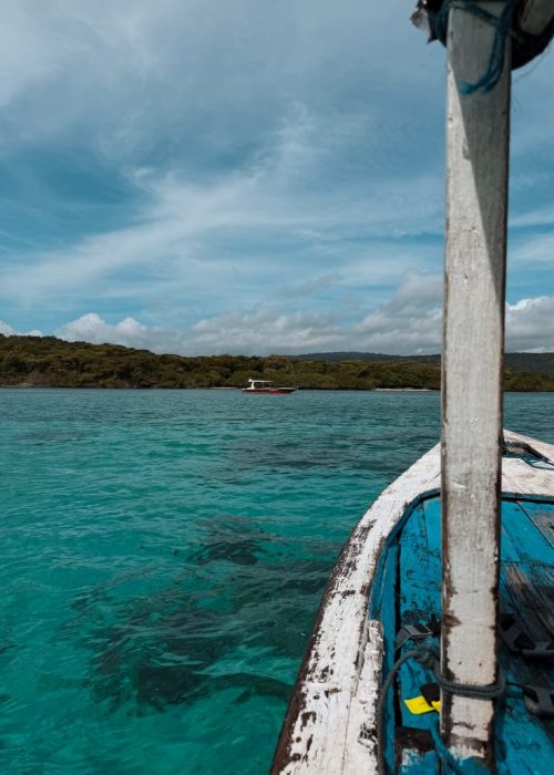 Menjangan pemuteran bali