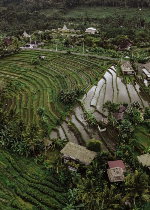 rijstvelden sidemen Bali