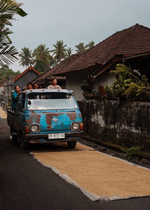 sidemen bali
