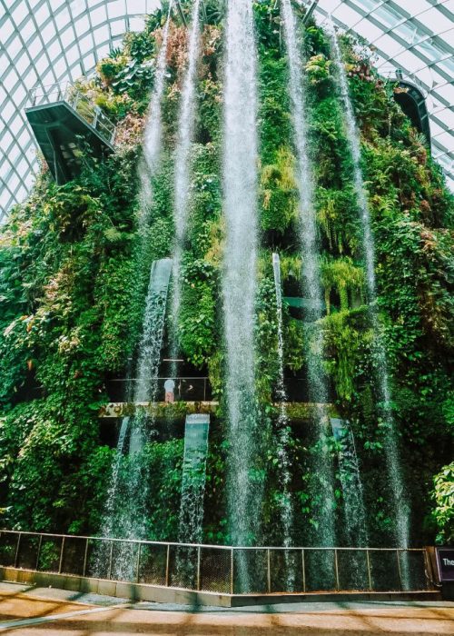 singapore-gardens-by-the-bay (2)