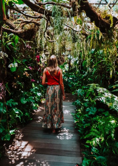 singapore-gardens-by-the-bay (3)