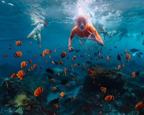 snorkelen nusa lembongan
