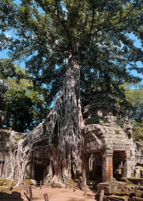 tempel angkor wat, Cambodja