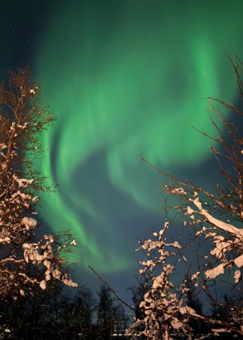 Noorderlicht tromso